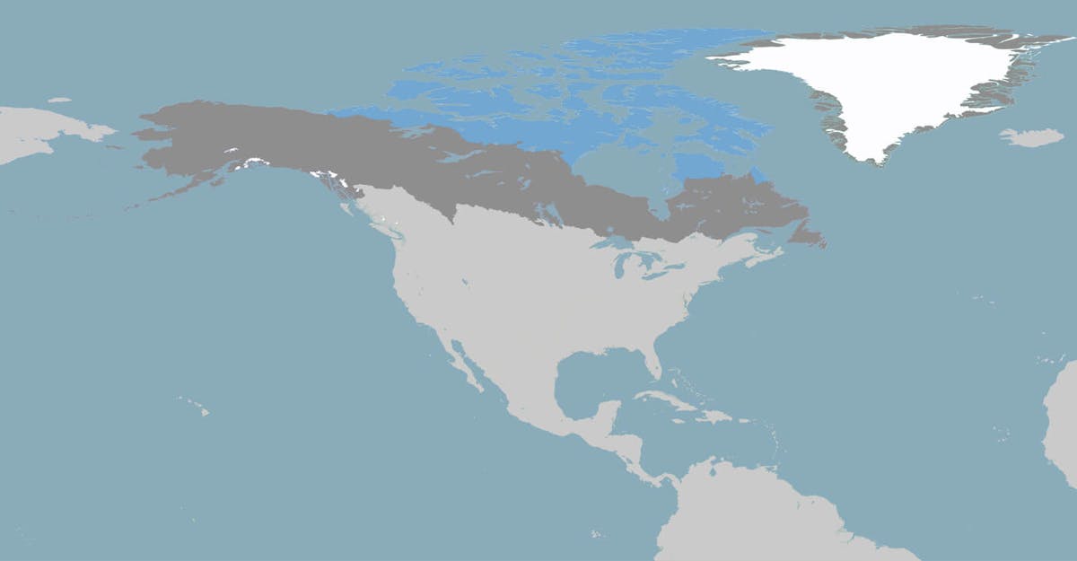 Canadian Tundra | One Earth